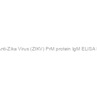 Recombivirus? Human Anti-Zika Virus (ZIKV) PrM protein IgM ELISA kit, 96 tests, Quantitative